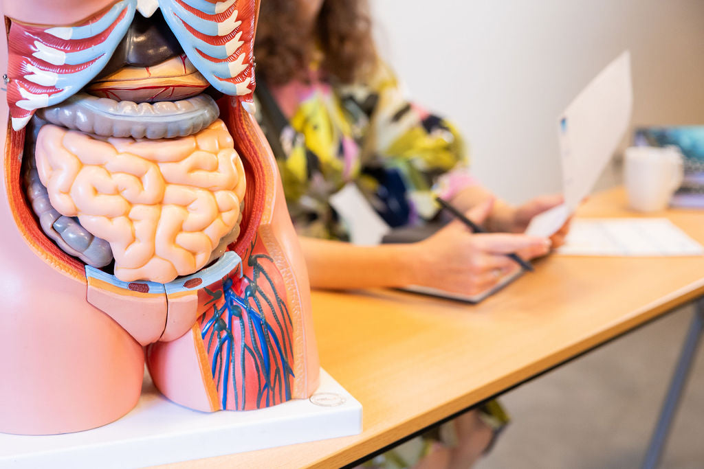 Module professionnel 3 : Domaines orthomoléculaires