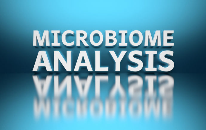 Mini masterclass: Meer inzicht in microbioomonderzoeken
