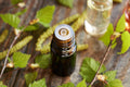 Gemmotherapie: biotopen, homotoxicologie en huisapotheek