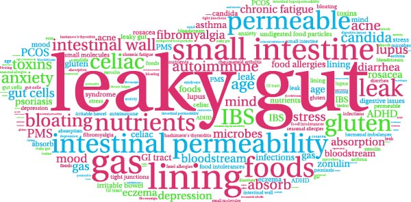 Mini-masterclass sur l'intestin perméable